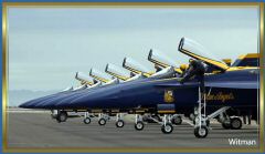 BlueAngel31018 (19).jpg